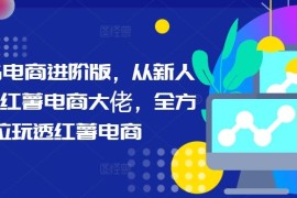 每天小红书电商进阶版，从新人进阶小红薯电商大佬，全方位玩透红薯电商09-21冒泡网