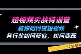 短视频实战特训营，教你如何做短视频，各行业如何获客变现及抖音号运营