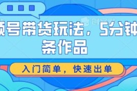 视频号带货玩法，5分钟一条作品，入门简单，快速出单【揭秘】，06月23日冒泡网VIP项目