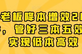 老板降本增效20讲，管好三本五效，实现低本高效，06月24日冒泡网VIP项目