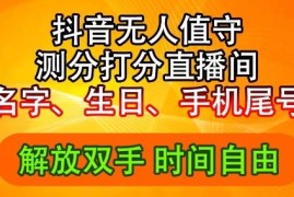 每天2024年抖音撸音浪新玩法：生日尾号打分测分无人直播，每日轻松赚2500+【揭秘】便宜08月07日冒泡网VIP项目