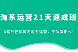 热门项目淘系运营21天速成班，0基础轻松搞定淘系运营，不做假把式！11-21福缘网