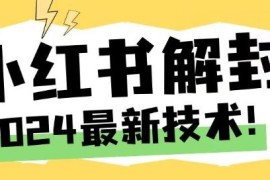 每天2024最新小红书账号封禁解封方法，无限释放手机号【揭秘】08-12冒泡网