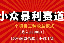 2024最新（11695期）视频号【中老年粉深信不疑】小众赛道100%原创手把手教学新号3天收益&#8230;便宜07月19日中创网VIP项目