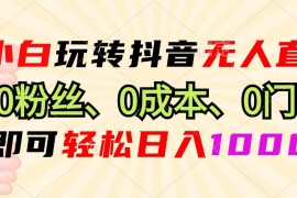 每日（13720期）小白玩转抖音无人直播，0粉丝、0成本、0门槛，轻松日入1000+12-18中创网