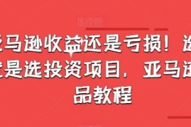 实战亚马逊收益还是亏损！选品就是选投资项目，亚马逊选品教程便宜07月05日冒泡网VIP项目