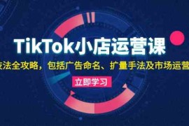 实战TikTok小店运营课：投流技法全攻略，包括广告命名扩量手法及市场运营方法福缘网