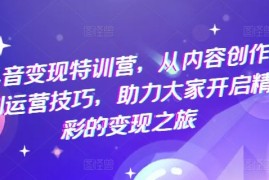 创业项目抖音变现特训营，从内容创作到运营技巧，助力大家开启精彩的变现之旅便宜07月13日冒泡网VIP项目