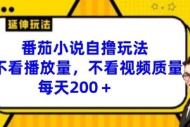 实战番茄小说自撸玩法，不看播放量，不看视频质量，每天200+【揭秘】便宜08月01日冒泡网VIP项目