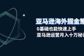 热门项目亚马逊海外掘金策略，0基础也能快速上手，亚马逊运营月入十万秘诀12-12福缘网