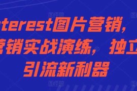 2024最新Pinterest图片营销，社交营销实战演练，独立站引流新利器冒泡网