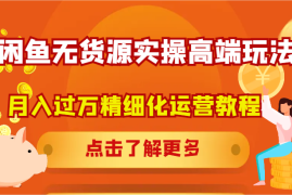 每天闲鱼无货源实操高端玩法，月入过万精细化运营教程08-30福缘网