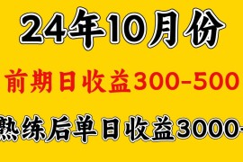 每日高手是怎么赚钱的.前期日收益500+熟练后日收益3000左右福缘网