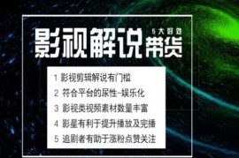 2024最新电影解说剪辑实操带货全新蓝海市场，电影解说实操课程，07月02日冒泡网VIP项目