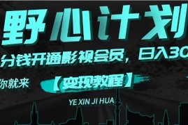 创业项目（11860期）《野心计划》一分钱卖影视会员，日入300+便宜07月29日中创网VIP项目