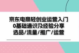 每天京东电商轻创业运营入门0基础通识及经验分享：选品/流量/推广/运营便宜07月12日福缘网VIP项目