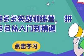 热门项目最新拼多多实战训练营， 拼多多从入门到精通08-24冒泡网