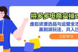 简单项目（12360期）拼多多电商实操2.0：虚拟资源选品与运营全攻略，高利润玩法，月入过万08-29中创网