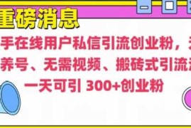 简单项目快手最新引流创业粉方法，无需养号、无需视频、搬砖式引流法【揭秘】12-11冒泡网