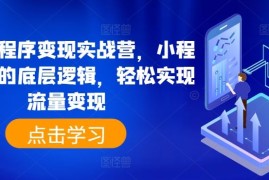 抖音小程序变现实战营，小程序变现的底层逻辑，轻松实现流量变现，06月25日冒泡网VIP项目