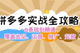 热门项目（12292期）拼多多实战全攻略：0基础到精通，覆盖选品、运营、推广、起款08-24中创网