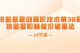 拼多多原创高阶技术，拼多多阶梯提价破量法加抖音号运营