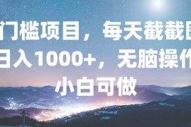 实战（13160期）0门槛项目，每天截截图，日入1000+，轻松无脑，小白可做中创网