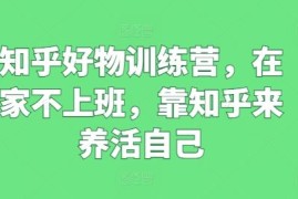 创业项目知乎好物训练营，在家不上班，靠知乎来养活自己，07月02日冒泡网VIP项目