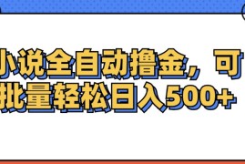 最新项目（12244期）小说全自动撸金，可批量日入500+08-20中创网