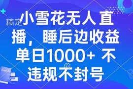 赚钱项目（13491期）小雪花无人直播睡后收益单日1000+零粉丝新号开播不违规看完就会11-28中创网