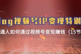 Vlog视频号IP变现特训营，通过视频号变现赚钱之抖音号运营