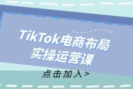 TikTok电商布局实操运营课，从新手到精通，成为TikTok带货运营高手与抖音号运营