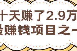 简单项目闲鱼小红书最赚钱项目之一，轻松月入6万+09-11福缘网