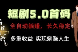 实战全自动元点短剧掘金分红项目，正规公司，管道收益无上限！轻松日入300+便宜08月01日福缘网VIP项目