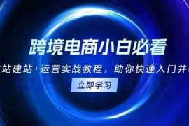 每天跨境电商小白必看！独立站建站+运营实战教程，助你快速入门并精通11-29福缘网