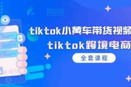 赚钱项目tiktok小黄车带货视频教程，tiktok跨境电商（全套课程）便宜08月09日福缘网VIP项目