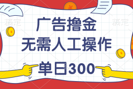 创业项目（11408期）最新教程！广告撸金，无需人工操作，单日收入300+，07月03日中创网VIP项目