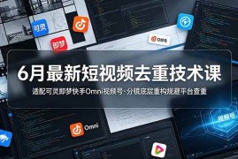 （19031期）6月最新短视频去重技术课，适配可灵即梦快手Omni视频号，分镜底层重构规避平台查重