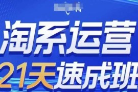 淘系运营21天速成班(更新24年6月)，0基础轻松搞定淘系运营，不做假把式，06月24日冒泡网VIP项目