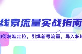 实战（12382期）线索流量-实战指南：如何精准定位，引爆新号流量，导入私域08-30中创网