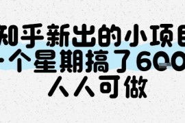 知乎新出的小项目，一个星期搞了6张，人人可做
