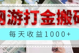 实战（12313期）网游全自动搬砖副业项目，每天收益1000+，长期稳定08-25中创网