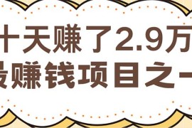 每天（12491期）闲鱼小红书赚钱项目之一，轻松月入6万+项目09-07中创网