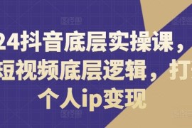 赚钱项目2024抖音底层实操课，​重塑短视频底层逻辑，打造个人ip变现便宜07月29日冒泡网VIP项目