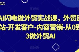 每天AI闪电做外贸实战课，​外贸建站-开发客户-内容营销-从0到3做外贸AI（更新）09-23冒泡网