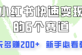 赚钱项目小红书快速变现的6个赛道，一天多赚200，所有人必看教程！便宜08月03日福缘网VIP项目