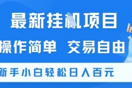 最新挂G项目，操作简单，交易自由，新手小白轻松日入100+【揭秘】