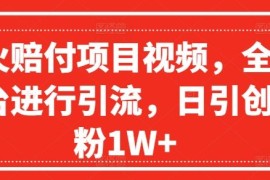 2024最新爆火赔付项目视频，全网平台进行引流，日引创业粉1W+【揭秘】便宜08月06日冒泡网VIP项目