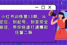 赚钱项目小红书训练营13期，从定位、到起号、到变现全路径，带你快速打通爆款任督二脉便宜08月03日冒泡网VIP项目