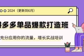 赚钱项目2024拼多多单品爆款打造班，充分应用你的流量，增长实战培训(更新6月)便宜07月11日福缘网VIP项目